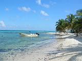LAUGHING BIRD CAYE3